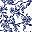 White Blue Bird