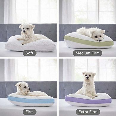 Brylanehome Gusseted Density Pillow 2-pack