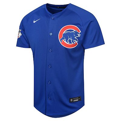 Youth Nike Dansby Swanson Royal Chicago Cubs Alternate Limited