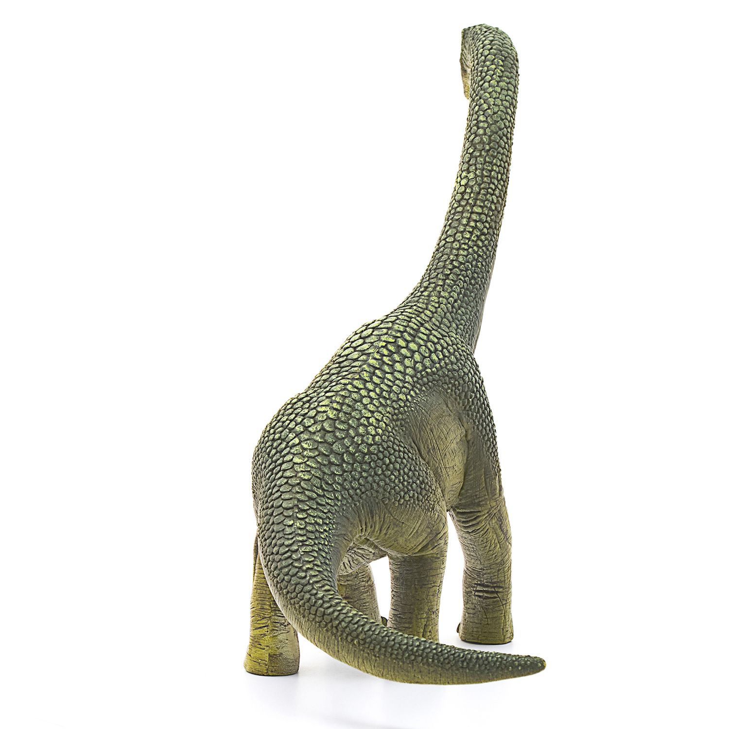 Schleich Brachiosaurus 2016 Dinosaur - View #10