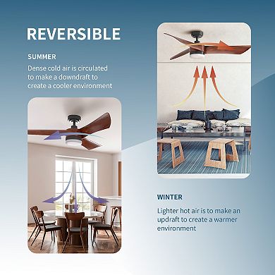 All Seasons 54 Ceiling Fan with Light, Quiet, Alexa Google, 3 Color LED Lights, Reversible,Remote