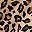 Tan Alice Leopard