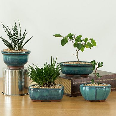 Decorative Glazed Ceramic Bonsai Succulent Pots Flower Planter and Drainage Holes, 4 Pack
