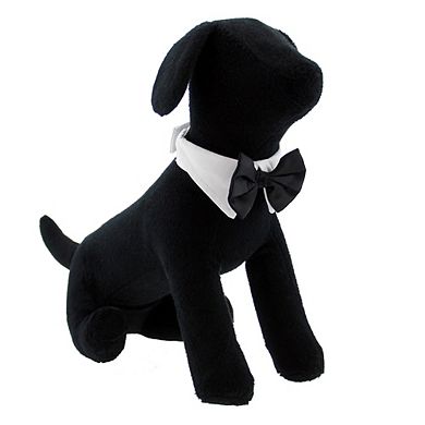 Formal Black Dog Bow Tie (medium: Neck 13-16")