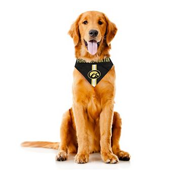 NCAA Iowa Hawkeyes Reversible Pet Bandana