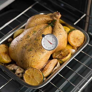 Taylor Leave-in Meat Thermometer