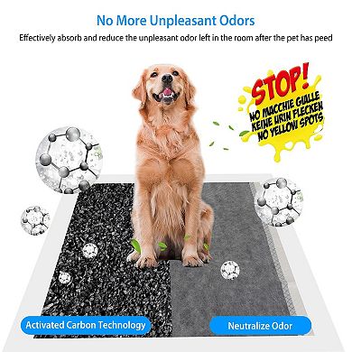 Leak-proof Quick Dry Dog Pee Training Pads Set Of 20