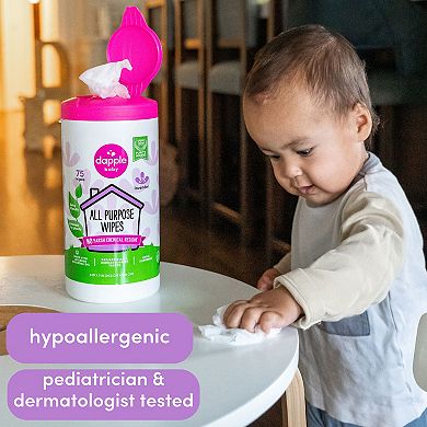 Dapple Baby All Purpose Wipes Lavender 75ct