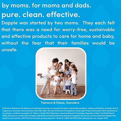 Dapple Baby Bottle & Dish Soap Refill Fragrance Free 16.9oz