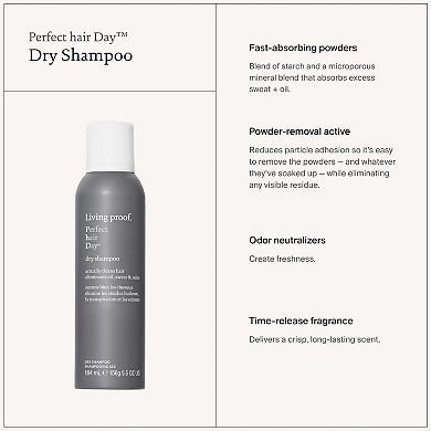 Perfect hair Day (PhD) Dry Shampoo