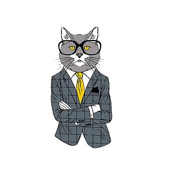 Artwille Paint By Number Kit Fashion Cat