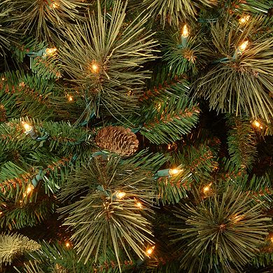 National Tree Company Artificial Carolina Pine Wreath & Garland Set