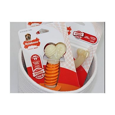 Nylabone Pro Action Dental Chew - Fresh Breath - 5" Long