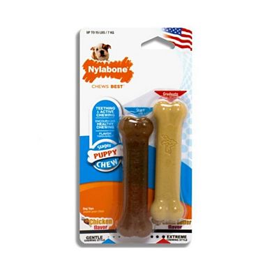 Nylabone Chew Petite Twin Pack - Chicken & Peanut Butter Nylon Chews(3.75" - 2 Pack)