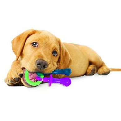 Nylabone Chew Teething Pacifier