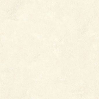 Mr. Kate Daphne Limewash Peel and Stick Wallpaper