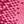 Pink Fuchsia