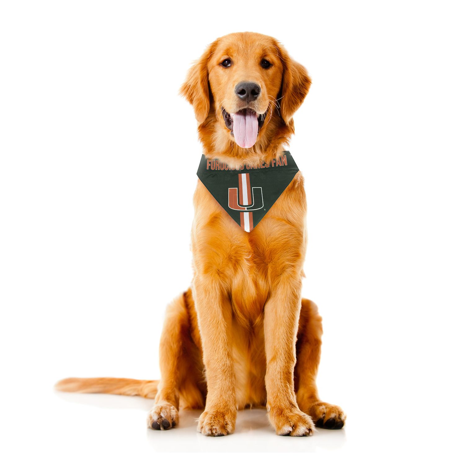 Carolina Hurricanes Reversible Dog Bandana - Large/X-Large, Officially Licensed NHL Pet Bandana