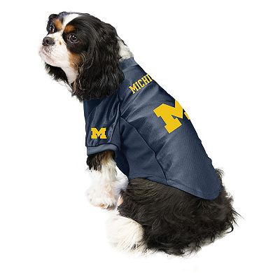 NCAA Michigan Wolverines Pet Stretch Jersey