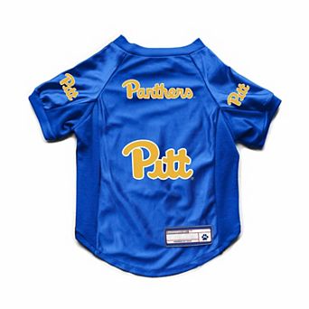 NCAA Panthers Pet Stretch Jersey