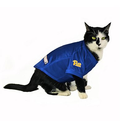 NCAA Panthers Pet Stretch Jersey