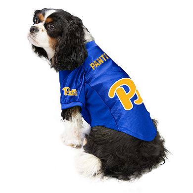 NCAA Panthers Pet Stretch Jersey