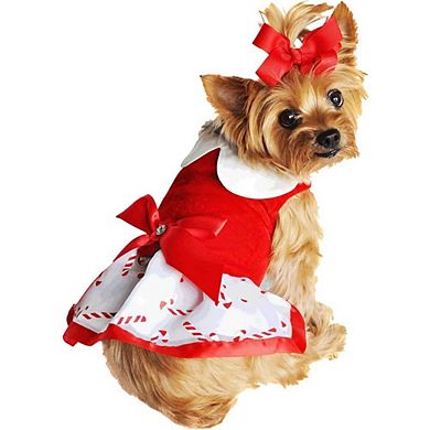 Doggie Design Christmas Candy Cane Dress and Matching Leash