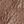 Brown Pat Texture