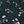 Dark Green Floral