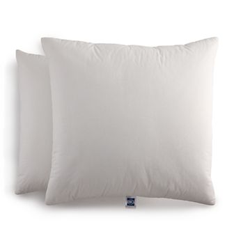 The Big One® 2-Pack Feather Fill Euro Pillow Set