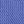Blue Bonnet