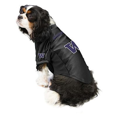 NCAA Washington Huskies Pet Stretch Jersey