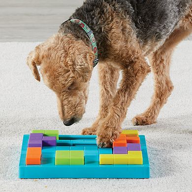 Brightkins Brain Teaser Pet Treat Puzzle