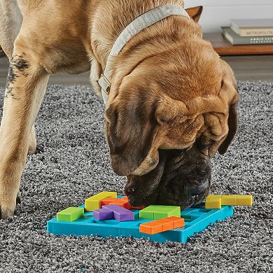Brightkins Brain Teaser Pet Treat Puzzle