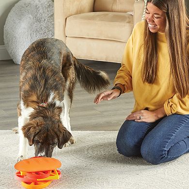 Brightkins Pupstrami Surprise! Pet Treat Puzzle