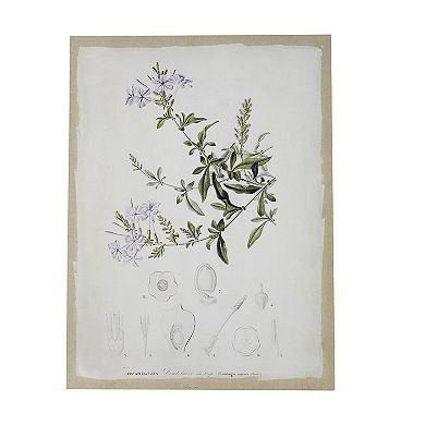 24 X 32 Set Of 2 Framed Wall Art Prints, Floral, Modern White And Black