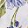 Blue Floral