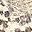 Taupe Snake