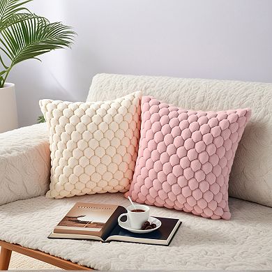 Pack Of 2 Soft Decorative Throw Pillow Covers Plush Cushion Pillowcase For Sofa 18" X 18"