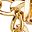 Gold Square Buckle