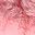 Dark Pink