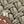 Dark Beige