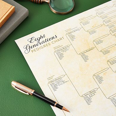 15 Pack Family Tree Charts To Fill In, Eight Generation Genealogy Poster, 17x22"