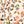 Beige Floral