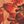 Rust Floral