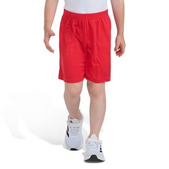 Boys 4-7 adidas Essentials Big Logo Shorts