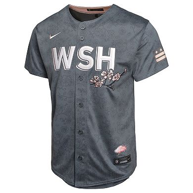 Youth Nike C.J. Abrams Charcoal Washington Nationals City Connect Limited Player Jersey
