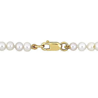 Stella Grace 14k Gold Freshwater Cultured Pearl Strand Necklace