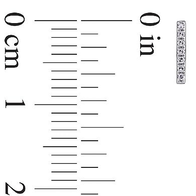 Stella Grace 14k White Gold Diamond Accent Bar Stud Earrings