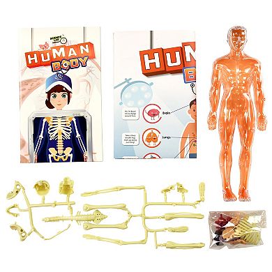 SpiceBox Science Lab: Human Body Kit
